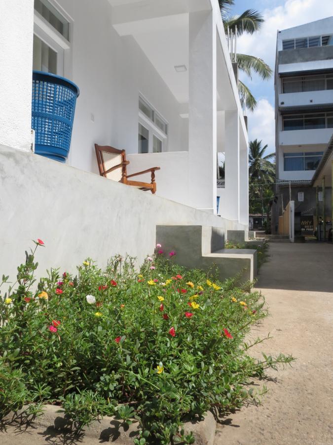 Mountain Wave Hotel And Surfshop 히카두와 외부 사진